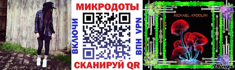 Псилоцибиновые грибы Psilocybe Смоленск