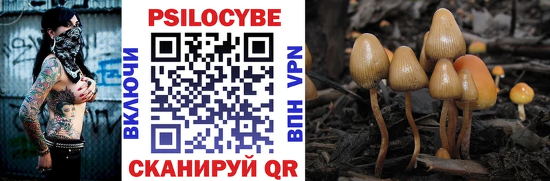 купить наркотики сайты дарк нет как зайти Псилоцибиновые грибы GOLDEN TEACHER Смоленск